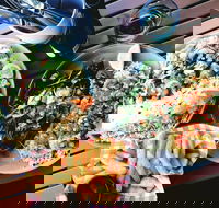 Luxe Fish - Pubs and Clubs