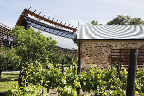 National Wine Centre Of Australia Tour And Tasting Experiences - Pubs and Clubs 0
