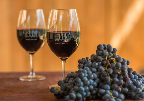 Politini Wines - Go Out 0