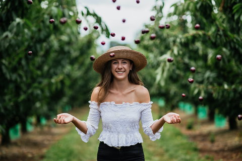 Cherryhill Orchards - Go Out 0