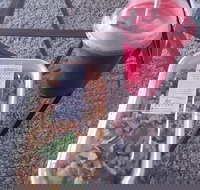 Little Shop of Plenty - Go Out