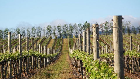 Philip Shaw Wines - Pubs and Clubs 1