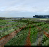 Razorback Ridge Wines - Pubs and Clubs