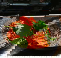 The Surf Club Palm Cove - Pubs and Clubs