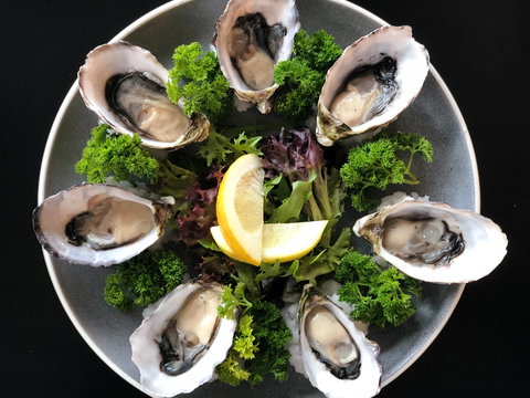 The Wharf At Port Fairy - Go Out 1