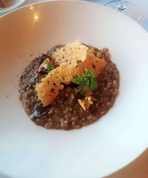 Wild Dog Restaurant - Go Out 0