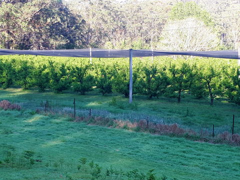 Martins Orchard - Go Out 2