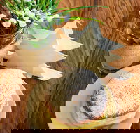 Marciano's Cakes - Clayton - Pubs and Clubs