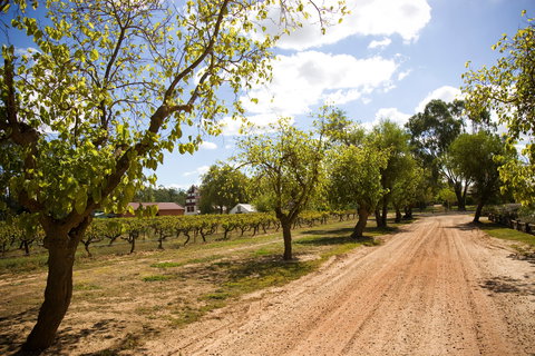 Tahbilk Winery And Vineyard - Go Out 1
