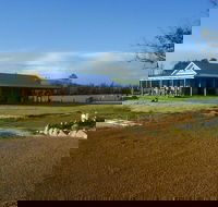 Thomson Brook Wines - Pubs and Clubs