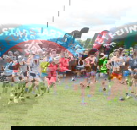 Casoni - Pubs and Clubs