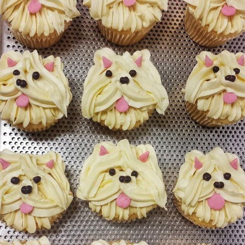 Cupcake Central - Narre Warren - Pubs and Clubs 0