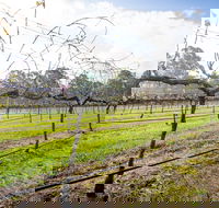 Long Point Vineyard and Art Gallery - Pubs and Clubs