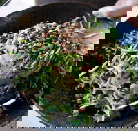 Mockingbird Cafe - Go Out