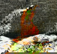 Cafe Bear and Scoobs - Go Out