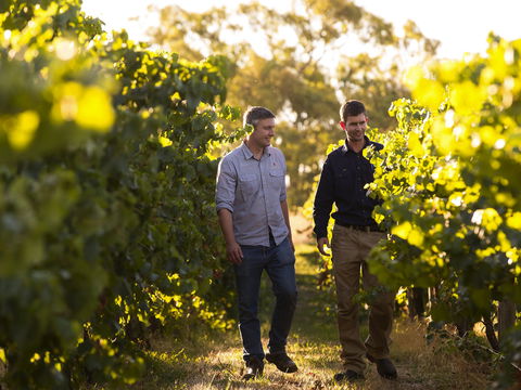 Patrick Of Coonawarra - Pubs and Clubs 1