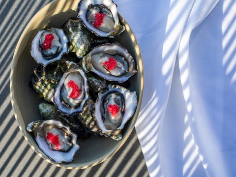 The Rocks - Restaurant, Bar, Pool Club - Go Out 1