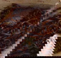 Delahey Noodle Bar - Go Out