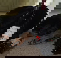 Dog Trap Vineyard - Pubs and Clubs