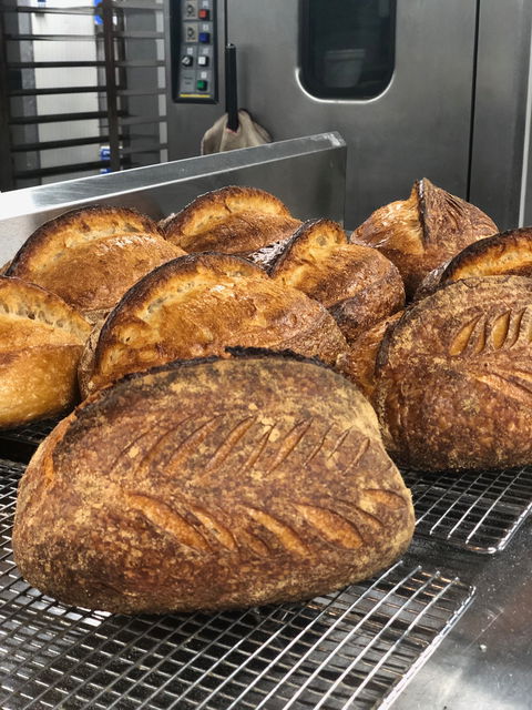 Samudera Artisian Food & Bakehouse - Go Out 0