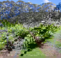 Woongooroo Estate Winery - Go Out