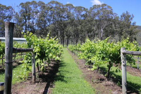 Woongooroo Estate Winery - Go Out 0
