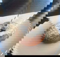 Alberto's Shot Espresso Bar - Go Out