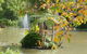 Cedar Creek Estate Winery - thumb 2