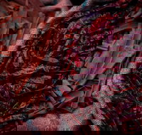 Urban Tadka - Go Out