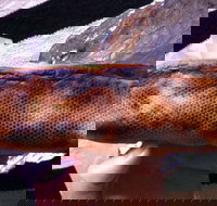 Balmoral Pizzeria - Go Out