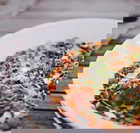 Camden Valley Inn - Go Out