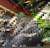 Ficus - Go Out