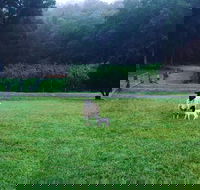 Goat Hill Farm - Go Out