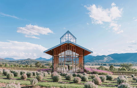 Kooroomba Vineyard And Lavender Farm - Pubs and Clubs 0