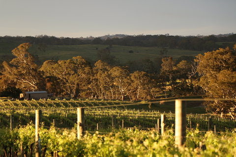 Max & Me Wine Tasting @ Eden Valley Hotel - Go Out 1