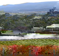 Milton Vineyard - Pubs and Clubs