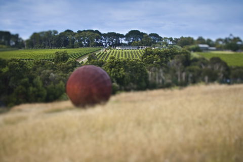 Montalto - Pubs and Clubs 2