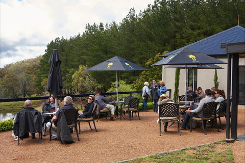 Cloud 9 Farm - Go Out 2