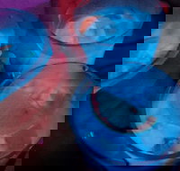 Humming Bird Dutch Cakes - Go Out