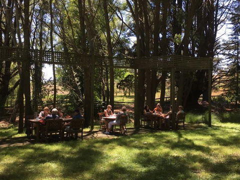 The Field Of Dreams Cafe - Pubs and Clubs 2