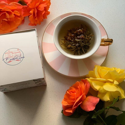 Brookfield House - Go Out 2