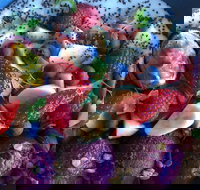 Focus Melbourne - Go Out