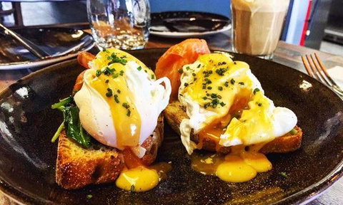 Blue Orchid Thai Restaurant - Go Out 2