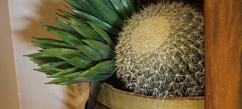 Cactus Jack's Bar & Grill - Go Out 2