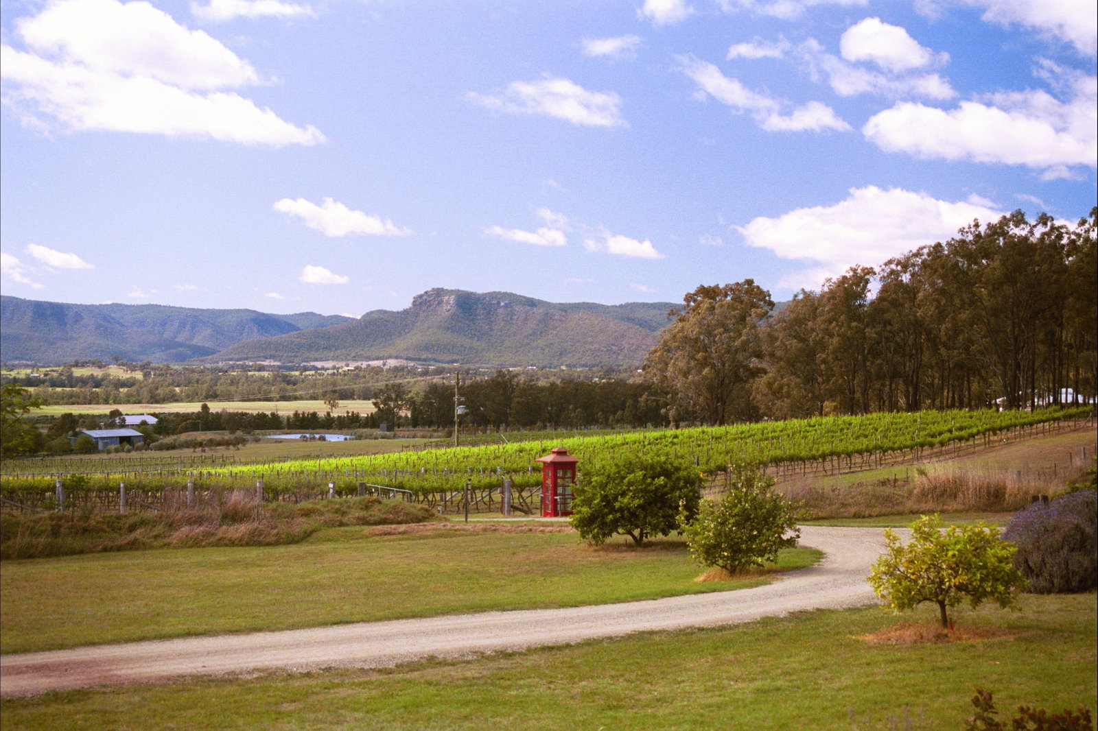 Fordwich NSW Pubs and Clubs