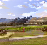 Catherine Vale Wines - Go Out