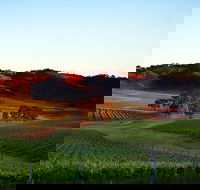 Dalwhinnie Wines - Go Out