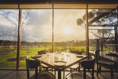 Stumpy Gully Vineyard - Go Out 1