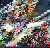 The Freedom Hub - Pubs and Clubs