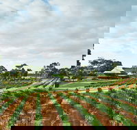 Vasse Felix Winery - Pubs and Clubs